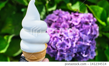 Hydrangea flowers and ice cream Hydrangea flowers and ice cream 141234514