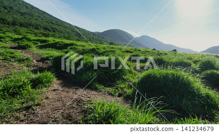 Overgrown grass Overgrown grass 141234679