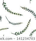 Yarrow leaves seamless pattern watercolor illustration. Achillea foliage for dental care pharmacy branding, antiinflammatory spray packaging, medical bleeding gums rinse design, herbal tea print 141234703