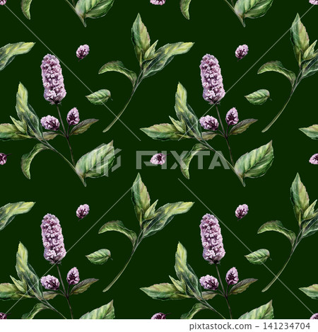 Mint seamless pattern watercolor illustration on dark background. Mentha medicinal herb for premium calming spa branding, stress relief oil packaging, organic sleep aromatherapy wellness print Mint seamless pattern watercolor illustration on dark background. Mentha medicinal herb for premium calming spa branding, stress relief oil packaging, organic sleep aromatherapy wellness print 141234704