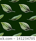 Plantain leaves seamless pattern watercolor illustration on dark background. Plantago foliage for premium men grooming packaging, organic cosmetics branding, luxury herbal wellness textile print 141234705
