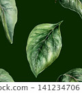 Echinacea leaves seamless pattern watercolor illustration on dark background. Medicinal herb foliage for organic hair care pharmacy branding, men healing skin packaging, natural detox wellness print 141234706