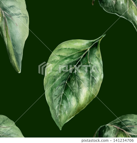 Echinacea leaves seamless pattern watercolor illustration on dark background. Medicinal herb foliage for organic hair care pharmacy branding, men healing skin packaging, natural detox wellness print Echinacea leaves seamless pattern watercolor illustration on dark background. Medicinal herb foliage for organic hair care pharmacy branding, men healing skin packaging, natural detox wellness print 141234706