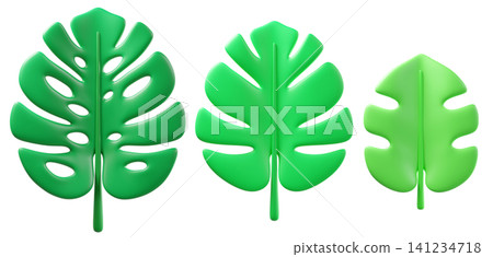 Set of 3D tropical monstera leaves, isolated on background. Fresh green botanical design element for summer branding, eco-friendly, wellness, spa, tropical invitations, stickers. 3d render Set of 3D tropical monstera leaves, isolated on background. Fresh green botanical design element for summer branding, eco-friendly, wellness, spa, tropical invitations, stickers. 3d render 141234718