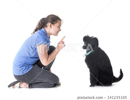 dog, owner and obedience dog, owner and obedience 141235105