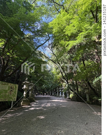香取神社 - 16 香取神社 - 16 141235197