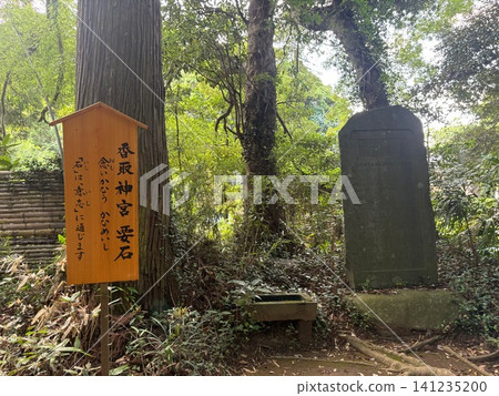 Katori Shrine - 13 141235200
