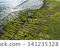 Aerial view of Laomei Green Reef, Taiwan 141235328