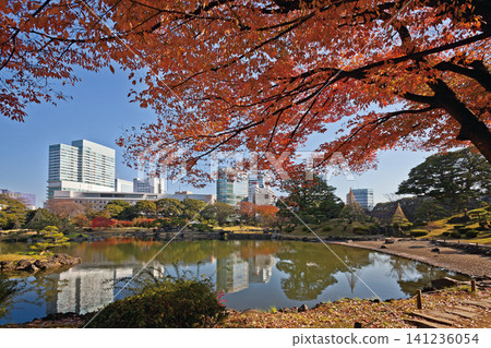 原芝離宮庭園 / 2013年 原芝離宮庭園 / 2013年 141236054