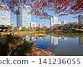 Former Shiba Rikyu Gardens / 2013 141236055