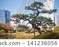 Former Shiba Rikyu Gardens / 2013 141236056