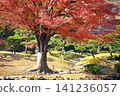 Former Shiba Rikyu Gardens / 2013 141236057