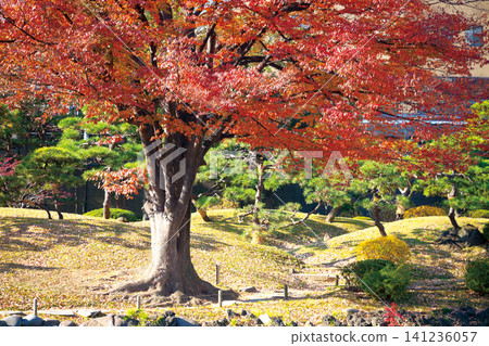 Former Shiba Rikyu Gardens / 2013 Former Shiba Rikyu Gardens / 2013 141236057