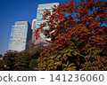 Former Shiba Rikyu Gardens / 2013 141236060