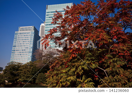 Former Shiba Rikyu Gardens / 2013 Former Shiba Rikyu Gardens / 2013 141236060