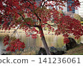 Former Shiba Rikyu Gardens / 2013 141236061