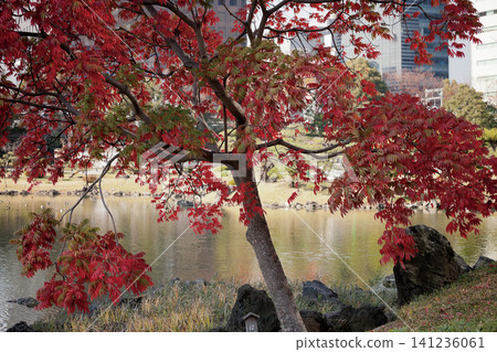 Former Shiba Rikyu Gardens / 2013 Former Shiba Rikyu Gardens / 2013 141236061