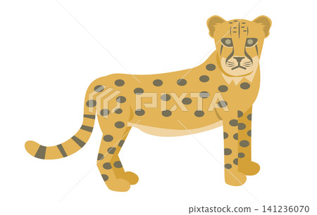 Cheetah Cheetah 141236070