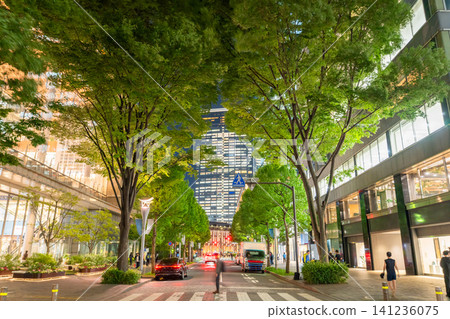 丸之內仲通的夜景以及綠樹成蔭的辦公區。 丸之內仲通的夜景以及綠樹成蔭的辦公區。 141236075