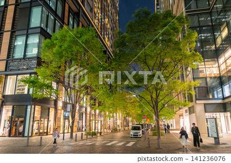丸之內仲通的夜景以及綠樹成蔭的辦公區。 丸之內仲通的夜景以及綠樹成蔭的辦公區。 141236076