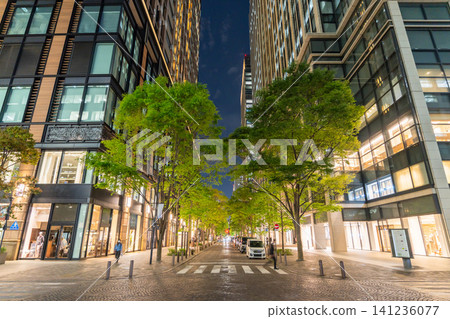 丸之內仲通的夜景以及綠樹成蔭的辦公區。 丸之內仲通的夜景以及綠樹成蔭的辦公區。 141236077