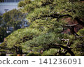Former Shiba Rikyu Gardens / 2013 141236091