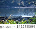 Former Shiba Rikyu Gardens / 2013 141236094