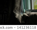 By the window, where soft evening light streams into the bedroom. 141236118
