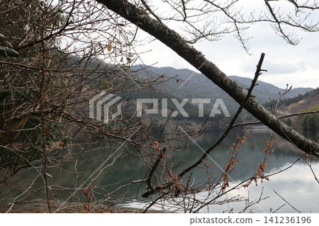 2025, Kagawa, Kanonji, Ohnohara, Landscape, Hōnenike Dam, Part 76 2025, Kagawa, Kanonji, Ohnohara, Landscape, Hōnenike Dam, Part 76 141236196