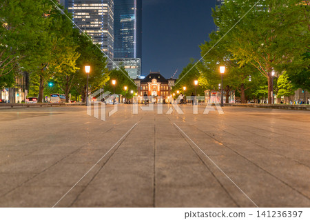 從丸之內魚行通俯瞰東京車站的夜景 141236397