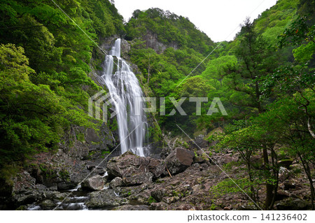 千尋瀑布(奈良縣吉野縣上北山村) 千尋瀑布(奈良縣吉野縣上北山村) 141236402