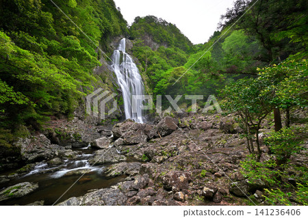 千尋瀑布(奈良縣吉野縣上北山村) 千尋瀑布(奈良縣吉野縣上北山村) 141236406