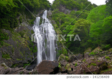 千尋瀑布(奈良縣吉野縣上北山村) 千尋瀑布(奈良縣吉野縣上北山村) 141236409