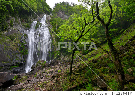 Chihiro Waterfall (Kamikitayama Village, Yoshino District, Nara Prefecture) Chihiro Waterfall (Kamikitayama Village, Yoshino District, Nara Prefecture) 141236417