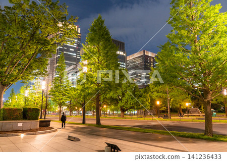 Night view of Marunouchi Gyoko-dori overlooking Tokyo Station Night view of Marunouchi Gyoko-dori overlooking Tokyo Station 141236433