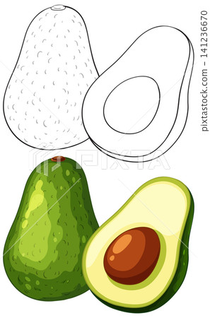 Whole and Sliced Avocado Vector Illustration with Line Art Version Whole and Sliced Avocado Vector Illustration with Line Art Version 141236670
