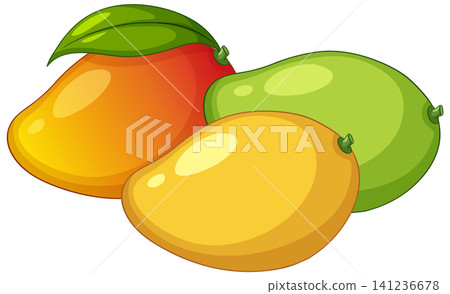 Vector Illustration of Ripe and Green Tropical Mango Fruits Vector Illustration of Ripe and Green Tropical Mango Fruits 141236678