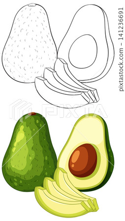 Whole and Sliced Avocado Vector Illustration in Color and Outline Whole and Sliced Avocado Vector Illustration in Color and Outline 141236691