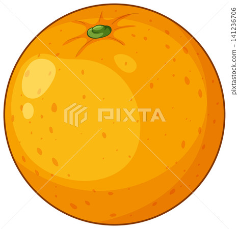 Fresh Whole Orange Fruit Vector Illustration on White Background Fresh Whole Orange Fruit Vector Illustration on White Background 141236706