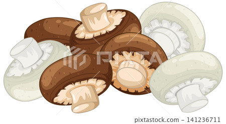 Vector Illustration of Fresh White and Brown Button Mushrooms Vector Illustration of Fresh White and Brown Button Mushrooms 141236711
