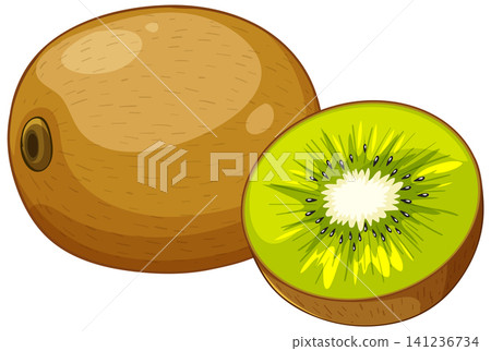 Whole and Sliced Kiwi Fruit Vector Illustration on White Background Whole and Sliced Kiwi Fruit Vector Illustration on White Background 141236734