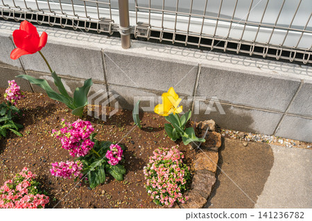 獨立式住宅花園裡的一小塊花壇 獨立式住宅花園裡的一小塊花壇 141236782