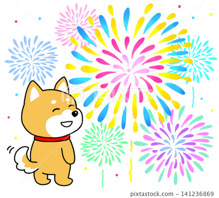 一隻柴犬開心地看著一朵接一朵的煙火綻放。 一隻柴犬開心地看著一朵接一朵的煙火綻放。 141236869