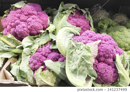 Fresh purple cauliflower heads are displayed at a local market. A vibrant organic vegetable with green leaves, rich natural color, and a healthy eating concept for farm produce and cooking. Fresh purple cauliflower heads are displayed at a local market. A vibrant organic vegetable with green leaves, rich natural color, and a healthy eating concept for farm produce and cooking. 141237499