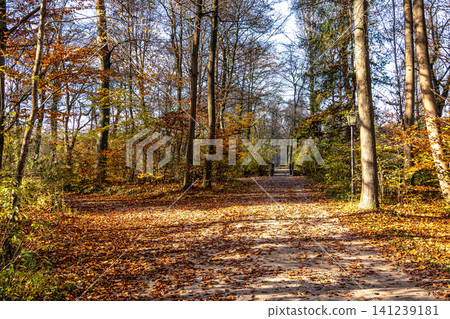 Golden autumn view in famous Munich relax place. Munich, Bavaria, Germany Golden autumn view in famous Munich relax place. Munich, Bavaria, Germany 141239181