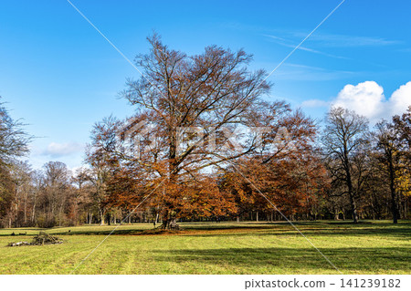 Golden autumn view in famous Munich relax place. Munich, Bavaria, Germany Golden autumn view in famous Munich relax place. Munich, Bavaria, Germany 141239182