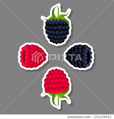 Sweet juicy tasty natural eco product raspberry Sweet juicy tasty natural eco product raspberry 141239452