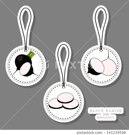 Sweet juicy tasty natural eco product radish 141239506