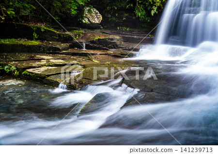 Fresh green Tsugune drop waterfall (after heavy rain) [Saikai City, Nagasaki Prefecture] 141239713