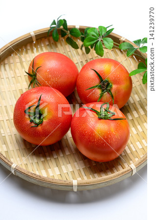 Fresh, perfectly ripe tomatoes glistening with water droplets. Fresh, perfectly ripe tomatoes glistening with water droplets. 141239770